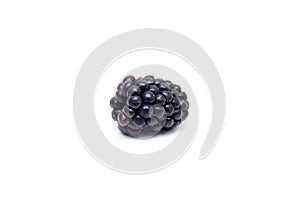 Boysenberry isolated on a white background.