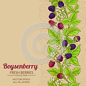 Boysenberry vector background