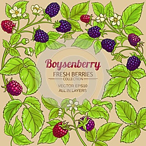 Boysenberry vector frame