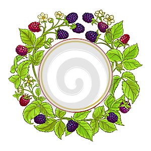 Boysenberry vector frame