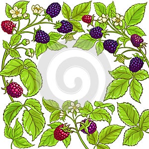 Boysenberry vector frame