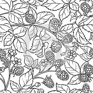 Boysenberry vector pattern