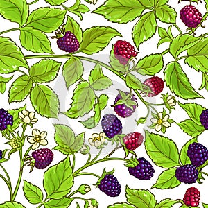 Boysenberry vector pattern