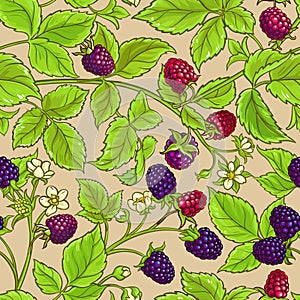 Boysenberry vector pattern