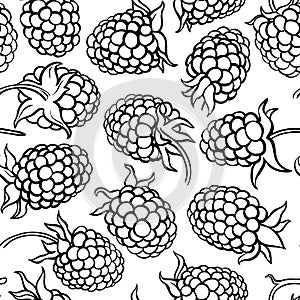 Boysenberry vector pattern