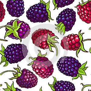 Boysenberry vector pattern