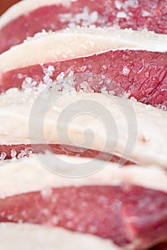 Bqq raw and salt fat meat