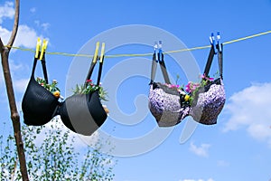 Bra pegged on a washing line with plants growing in them