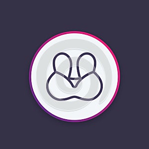 Bra, underwear vector icon