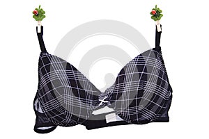 Bra with wooden clips