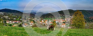 Brabancon belgian horse on the farmland, Alsace, France