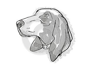 Bracco Italiano Dog Breed Cartoon Retro Drawing photo