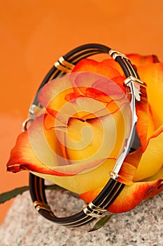 Bracelet and rose