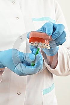 Braces model with brush