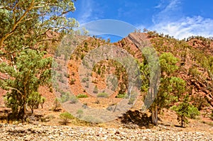 Brachina Gorge - Wilpena Pound