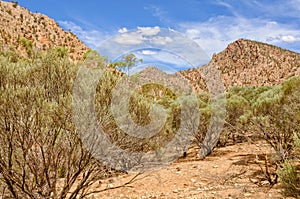 Brachina Gorge - Wilpena Pound photo