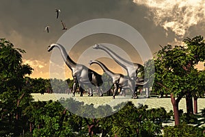 Brachiosaurus 02