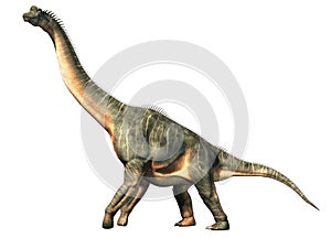 Brachiosaurus