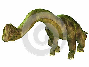 Brachiosaurus