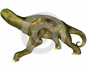 Brachiosaurus