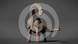 Brachiosaurus altithorax dinosaur