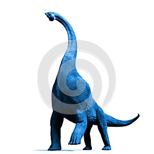 Brachiosaurus altithorax from the Late Jurassic blue 3d illustration isolated on white background