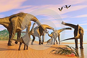 Brachiosaurus Beach photo