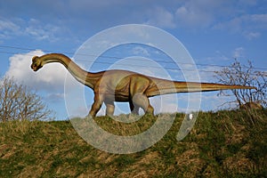 Brachiosaurus - Brachiosaurus altithorax