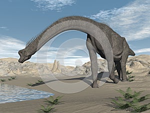 Brachiosaurus dinosaur in the desert - 3D render