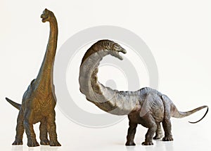 A Brachiosaurus Dinosaur Next to an Apatosaurus