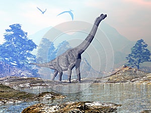 Brachiosaurus dinosaur walking - 3D render