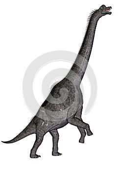 Brachiosaurus dinosaur photo