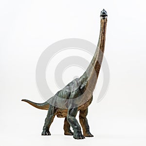 Brachiosaurus ,dinosaur on white background