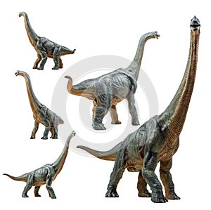 Brachiosaurus ,dinosaur on white background