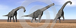 Brachiosaurus dinosaurs in the desert - 3D render