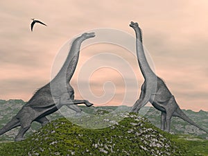 Brachiosaurus dinosaurs fight - 3D render