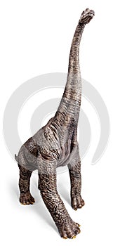 Brachiosaurus dinosaurs toy.