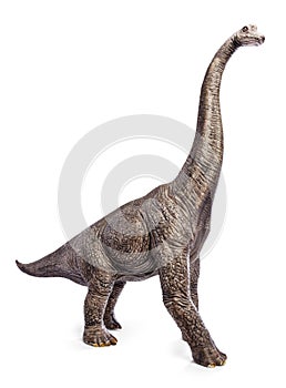 Brachiosaurus dinosaurs toy.