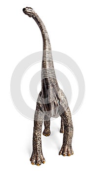 Brachiosaurus dinosaurs toy.