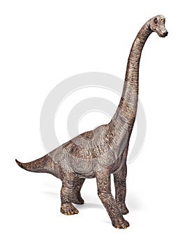 Brachiosaurus dinosaurs toy isolated on white background with clipping path.