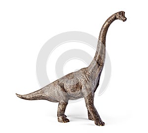 Brachiosaurus dinosaurs toy isolated on white background with clipping path.