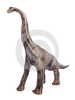 Brachiosaurus dinosaurs toy.