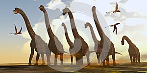 Brachiosaurus Dinosaurs on Trek