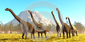 Brachiosaurus Herd Afternoon