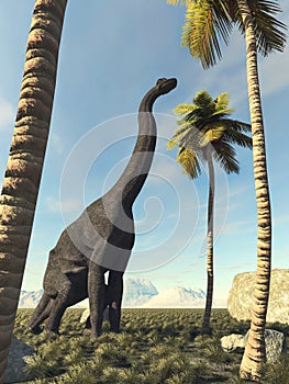 Brachiosaurus in the jungle looking at a palm tree.