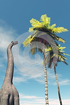 Brachiosaurus in the jungle looking at a palm tree.