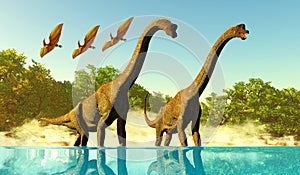 Brachiosaurus Jurassic Lake
