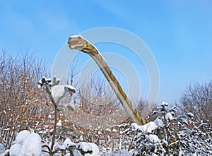 Brachiosaurus from the Late Jurassic