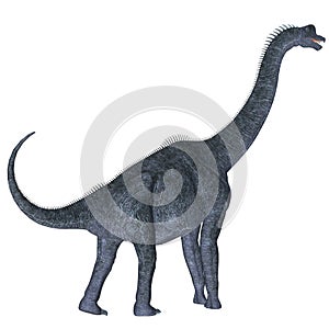 Brachiosaurus over White