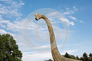 Brachiosaurus realistic model. Head close of dinosaur